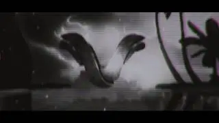 Vanish Vompy Montage ._.