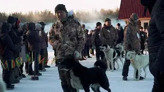 Лайки Якутии. Выставка 2025.  Старшая возрастная группа.