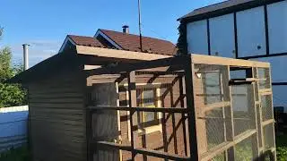 Полёты голубей  21.07.2023. Потери к сожалению