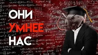МУРАВЬИ УМЕЮТ СЧИТАТЬ — Учёные проверили математические способности муравьёв