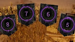 The Purple Rank Experience