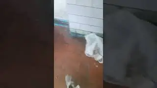 Коммунальные услуги ООО ЖЭУ4