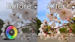 Processing Photographs in Rawtherapee