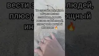 В чём суть имени Альбина? #значениеимени #квантоваянумерология #нумерология #альбина