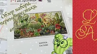 Начинаю глобальный самый любимый процесс/Обзор набора Марья Искусница 