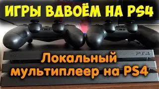 Games for two for PS4. Local multiplayer together. Selection.