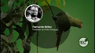 Fernando Britez (Kora Paraguay) - Foro de Economía Circular LATAM