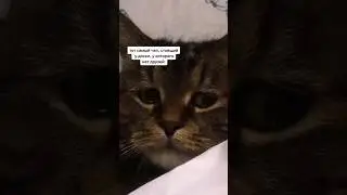 Жалко чела 😥😓 #прикол #мем #жаль #дружба #друзья #shorts #грусть