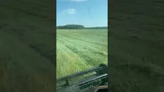 #2024 #farming #сезон #agriculture #сено #сенокос #macdon #макдон