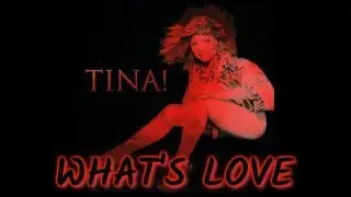 TINA TURNER SAMPLE (HANDS DOWN PRODUCTIONS) 'WHAT'S LOVE'