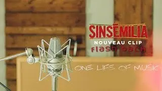 SINSEMILIA - Flash Back ( Clip Officiel 📽️)