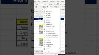 How to Insert Double Line Border 