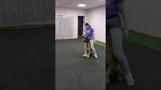 Открытие зала дрессировки собак в Советском