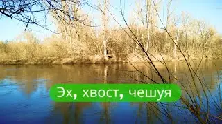 ✔Fishing🎣 11. 04. 2023 on the river🌊 Dema✔