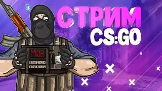 🔥 / СТРИМ ПО CS:GO / КС ГО, cs go,  ММ / МАНЬЯК CS:GO /😱 / faceit / фейсит / МАРМОК / КОНКУРС/ 🔥
