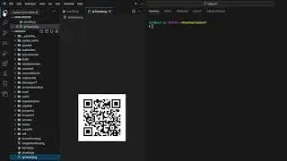 Leer QR con Python