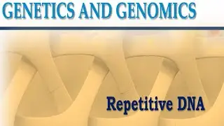 Repetitive DNA