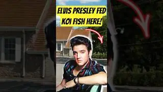 Elvis Fed Koi Fish Here!