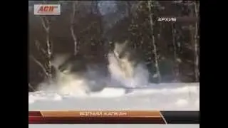 ВОЛЧИЙ КАПКАН