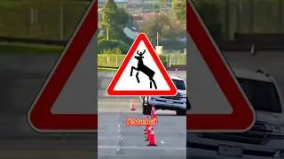 🤯 ЛОСИНЫЙ ТЕСТ 