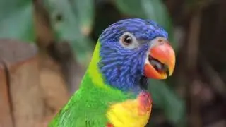 Morning Relaxing Music  Piano Music,Romantic Piano Giovanni Marradi 3,Relaxing Music