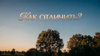 Aunika | уметь отличить | Ауника