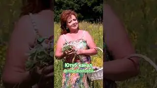 Зифа Нагаева - Алан җиләге 