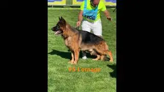V5 L’orange di Casa Beggiato