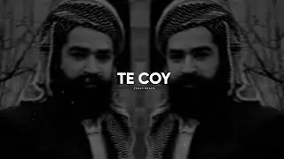 Kurdish Trap Remix - TU ÇOYÎ - Prod.Pexas Beats