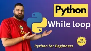 What is the WHILE loop in Python? | Programming with Alex