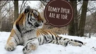 Путін помер. Але не той. Може це знак ?