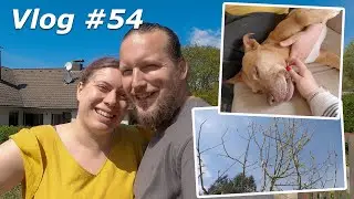 Vlog #54 - Ein Hauch Sommer, der Rhabarber blüht & die Baustelle geht voran | The Smithfields