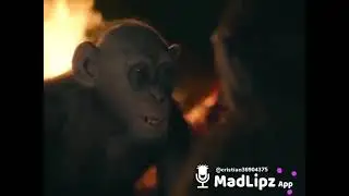 MIRA QUE VIENE FLACA LA BOLSA, NO ME CANALLIES 🐒