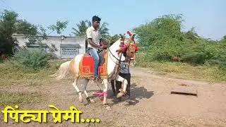 महिम चा पिंट्या 💞💞