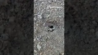 Зачем они это делают 😳 