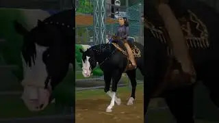 Star Stable Quarter Horse In Reality | SSO TikTok