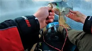 Bass Session On The Dam