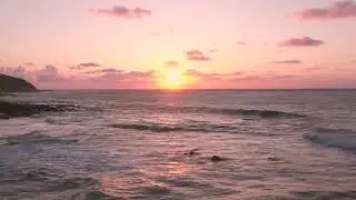 nutere video || best nuture video || nuture video status