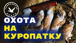 Охота на куропатку в Декабре 2022