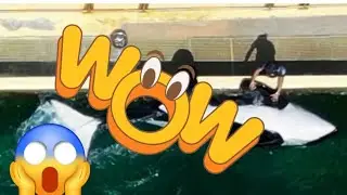 Polémica en Francia por las imágenes de un entrenador masturbando a la orca ‘Keijo’