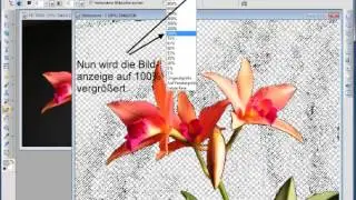 Freistellen mit PhotoImpact X3