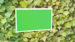 3D Photo video Frame green screen animation effects HD video    Chroma key720p