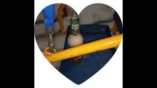 Качаю Эссу на качелях