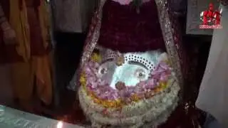 कालकाजी मंदिर आरती | kalika mayi mandir Aarti Live | kalka ji Delhi india | MiMedia.