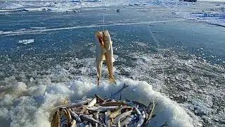 Рыбалка в Хабаровском крае. Мыс Лазарев. Часть 1. 30.01. - 07.02.2021 г. Дорога. Зубарь.