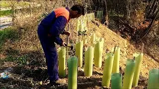 Filmato Patto di Rii Albinea