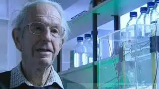 Bioinformática: 4. Secuenciación y expresión genética
