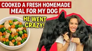 ⭐ My Dog Went CRAZY for This Homemade Meal! 🐶🔥