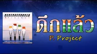 ดึกแล้ว - P. Project [ Official Audio ]