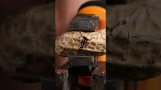 Сracking Peanut ASMR #satisfying #macro #closeup
